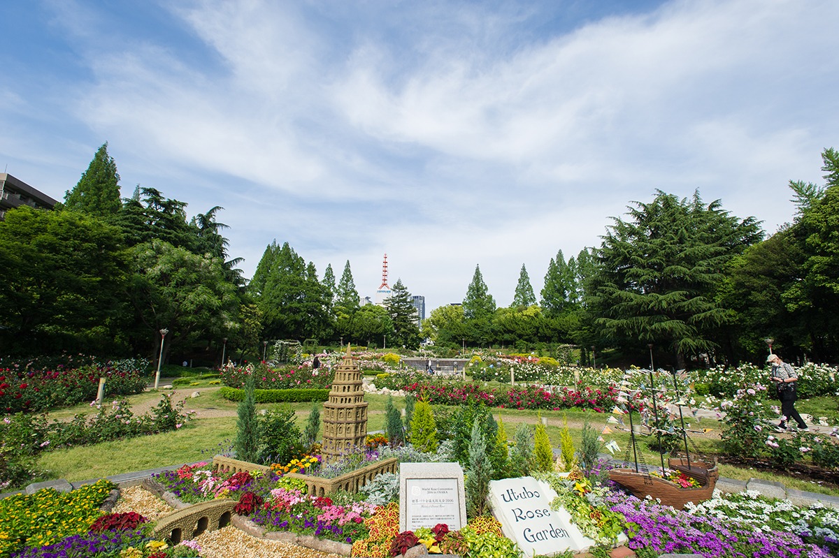 都会の隠れ家・靱公園の真実！絶景バラ園と伝説テニスコート取材