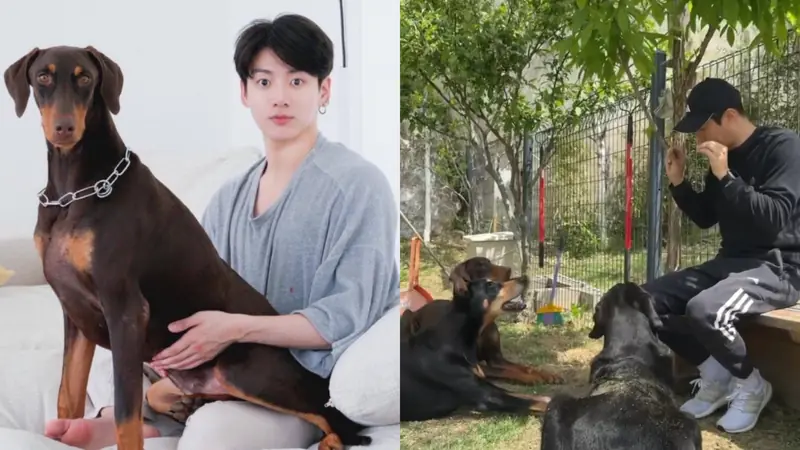 What Dog Does Jungkook Have