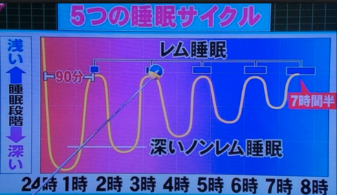 【2026年再評価】「睡眠時間は3時間」伝説の美少女漫画家・高橋留美子の“原点”と、令和の若者が驚愕した圧倒的ビジュアル