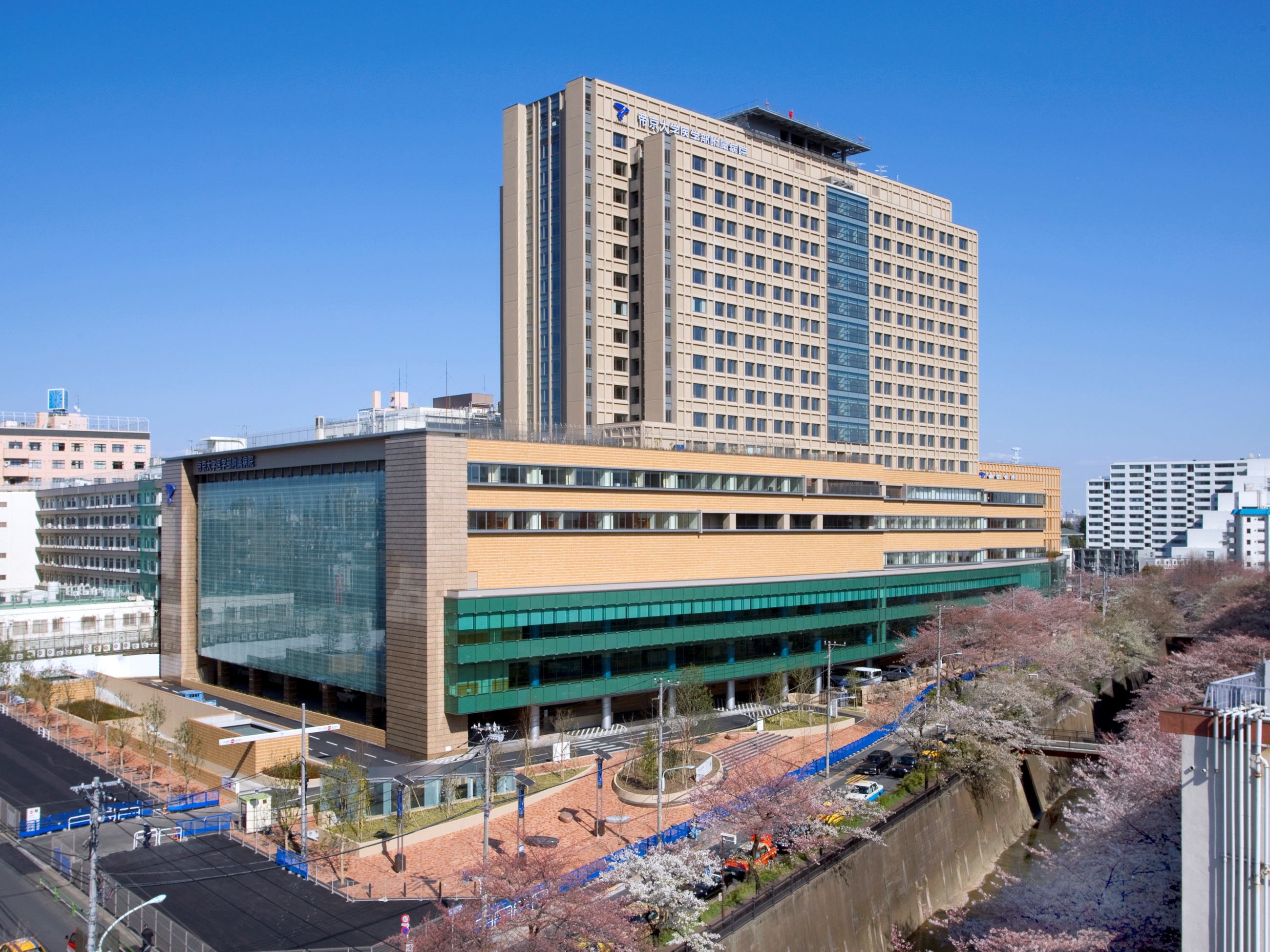帝京大学病院の初診予約と名医の真実！紹介状なし受診の落とし穴