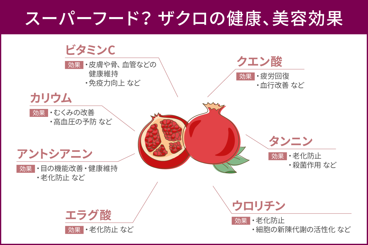 ザクロの効果の真相に迫る！美肌や更年期ケアと2026年の新常識
