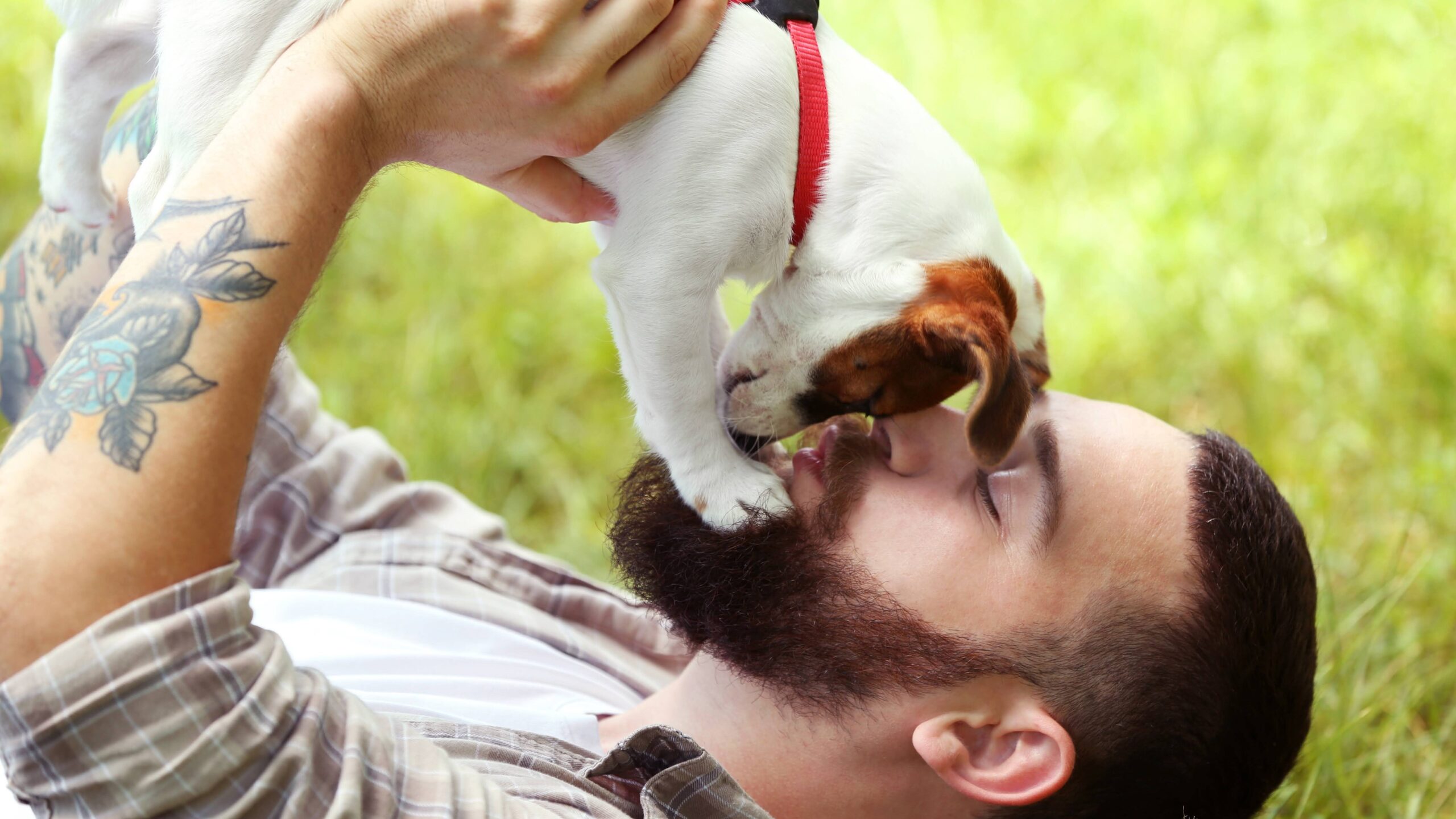 犬が顔を執拗に舐める理由とは？心理の真相と感染症リスクを徹底解説