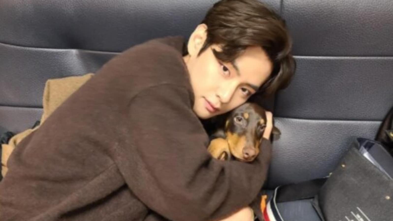 How Old Is Jungkook Dog