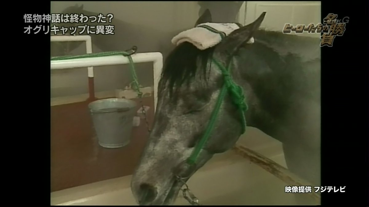 オグリキャップと温泉の真相！怪物伝説を支えた療養秘話と話題の謎