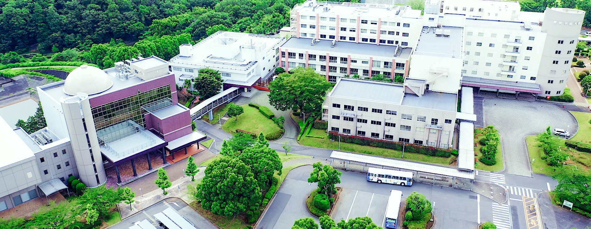 帝京平成大学千葉キャンパスの評判は？健康医療学部の実態と国試実績