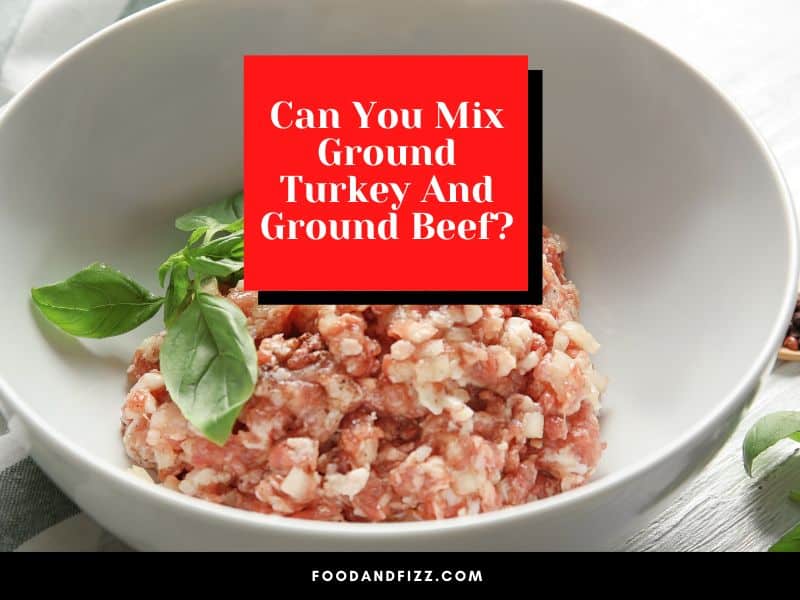 Can I Mix Ground Turkey and Ground Beef