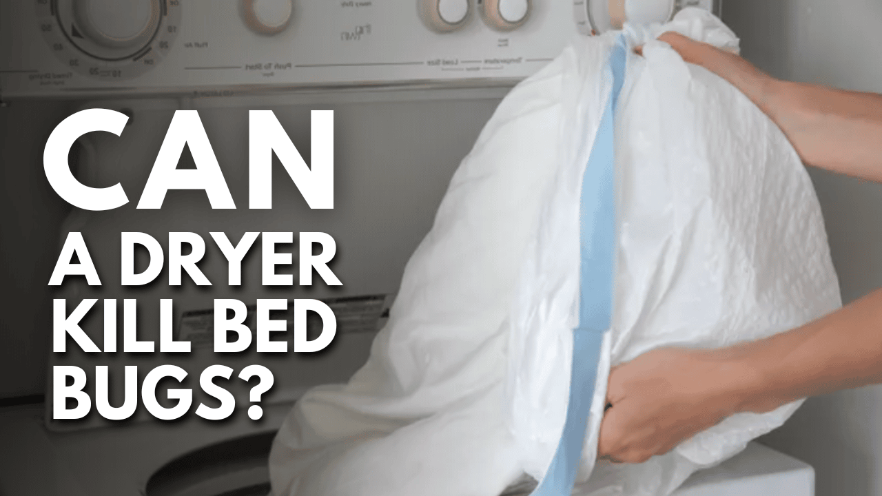 How Long in the Dryer to Kill Bed Bugs