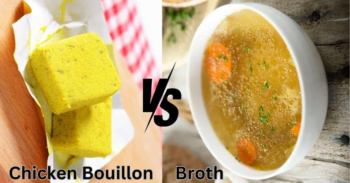 Chicken Broth Chicken Bouillon