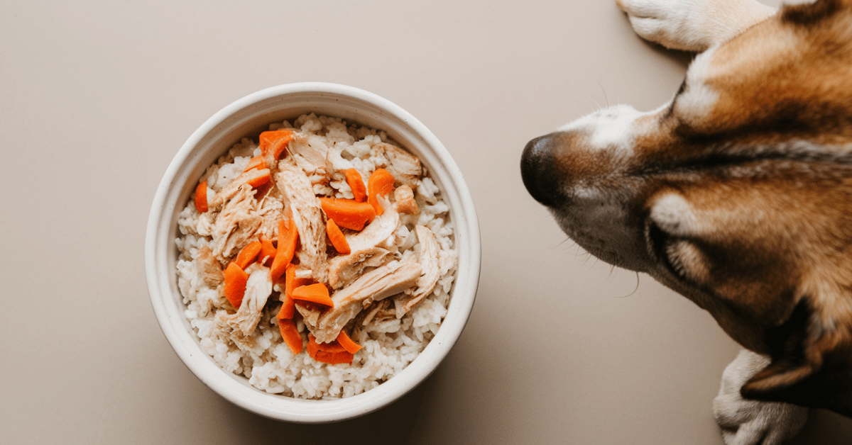 Chicken and Rice for Dogs