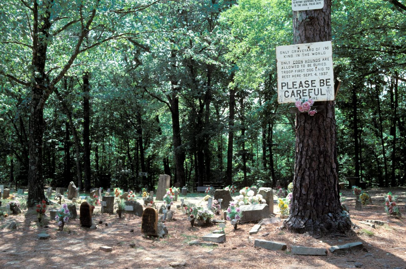 Coon Dog Cemetery Al