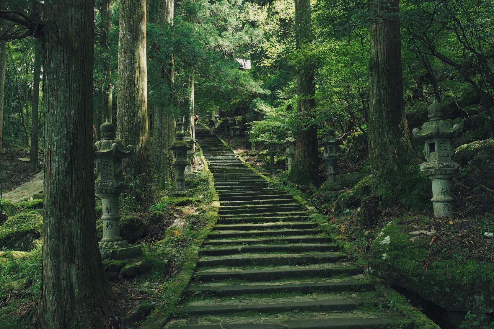 英彦山の巨岩に呑まれる聖地！天狗が守る高住神社の凄まじい力