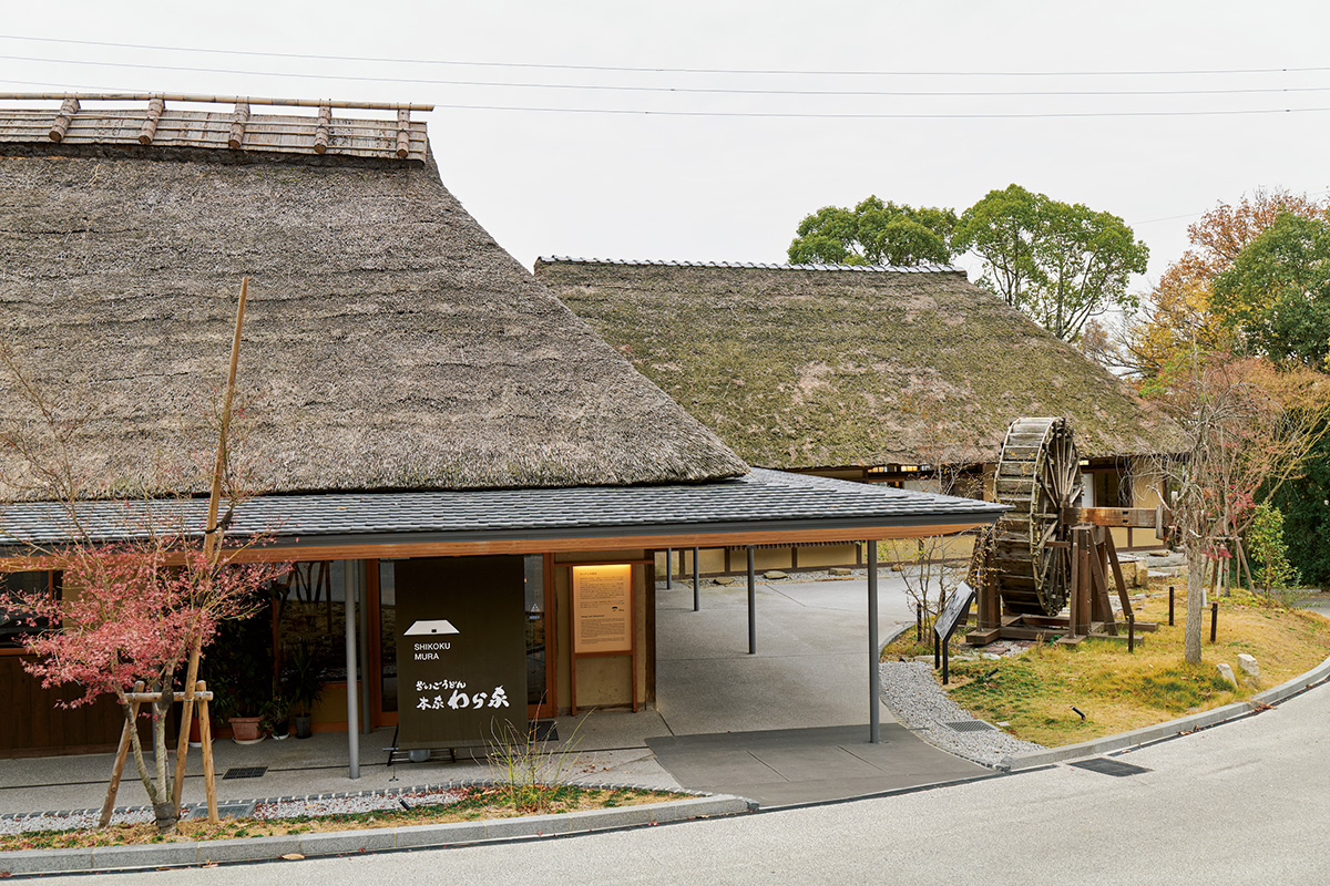 香川・わら家たらいうどんの真相！混雑状況と絶品出汁の秘密を解明