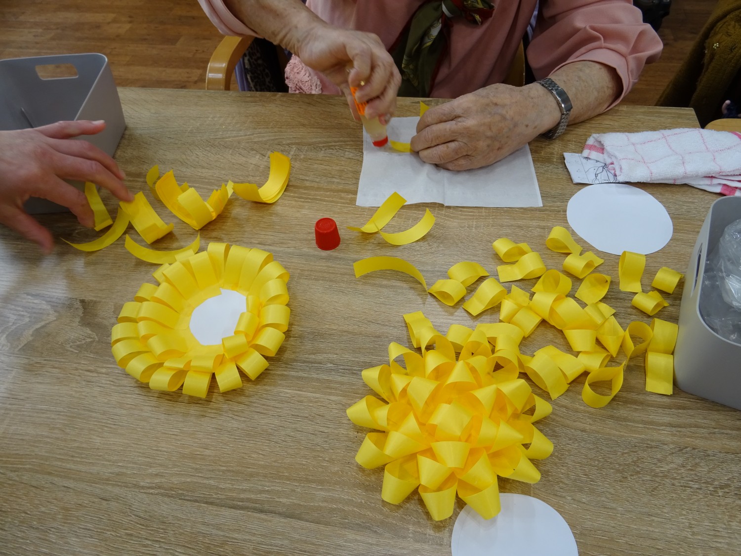 プロ直伝のドーム菊の作り方！綺麗な半球状に咲かせる摘芯と栽培の極意