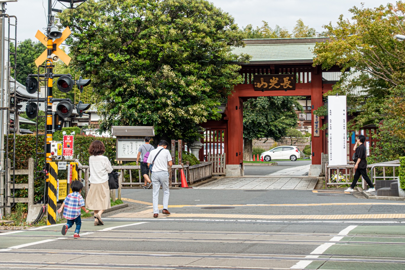 秀吉や千利休も愛した京都の名刹・妙蓮寺！開運庭園と限定御朱印