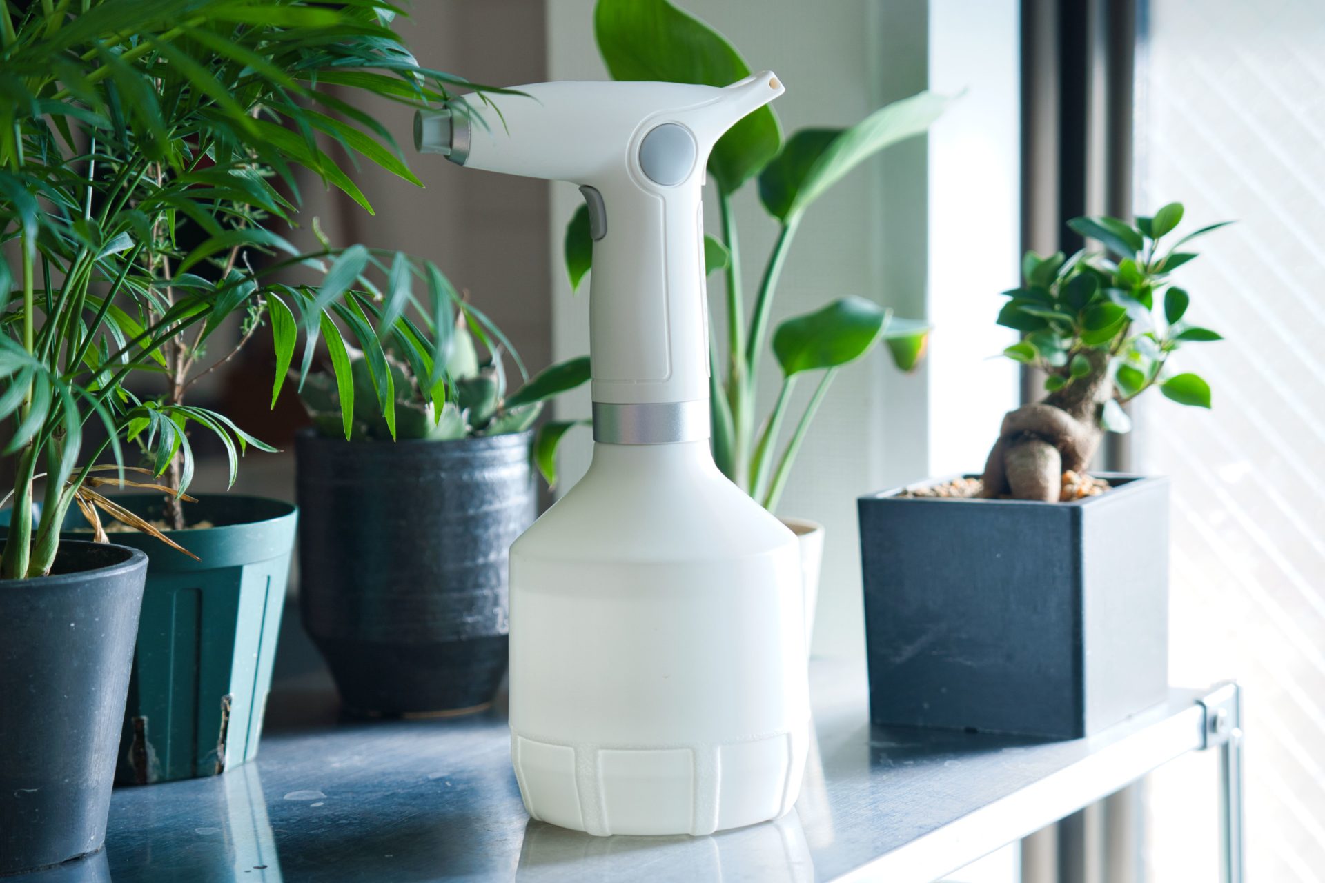 観葉植物が劇的に育つ葉水と霧吹き選び！逆効果を防ぐ2026年の新常識
