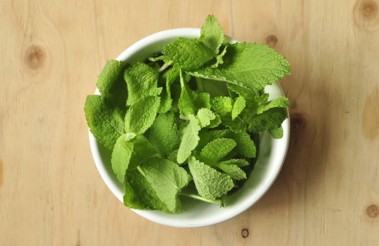 ミントの使い方決定版！料理から虫除け・大量消費の保存術まで徹底解説