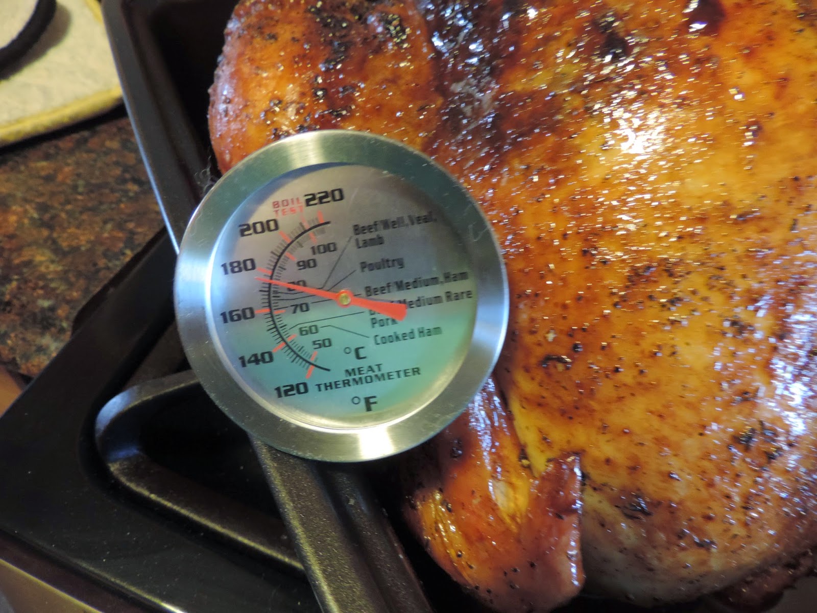 Internal Temp of Roast Turkey