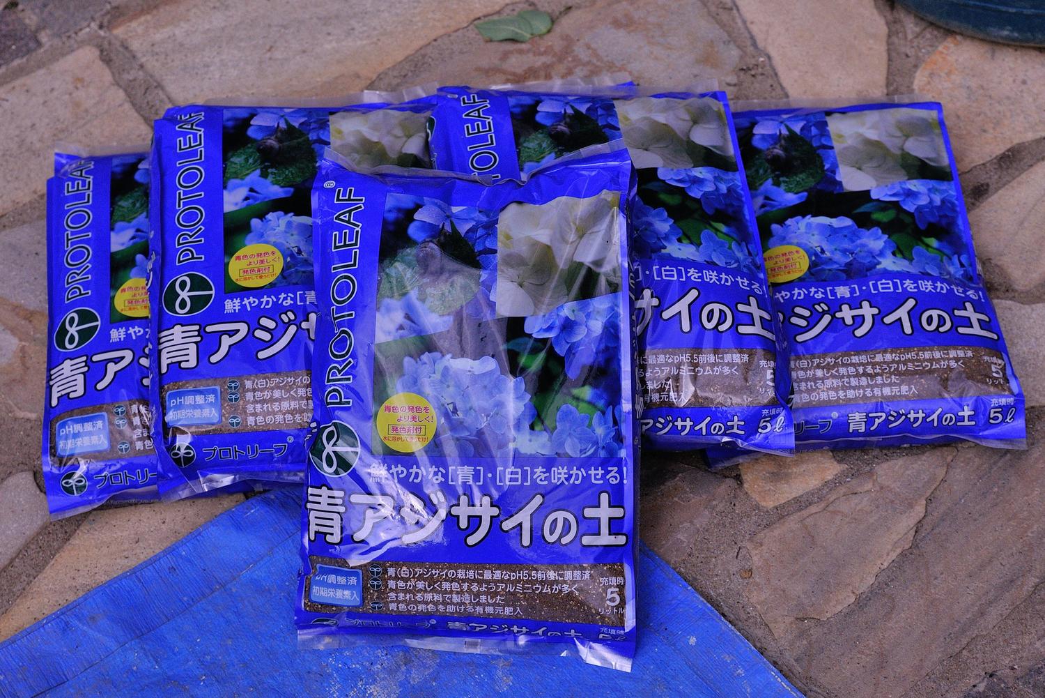 紫陽花を青色にするには？失敗防ぐ土壌酸度と鮮烈な青を咲かせる全技術
