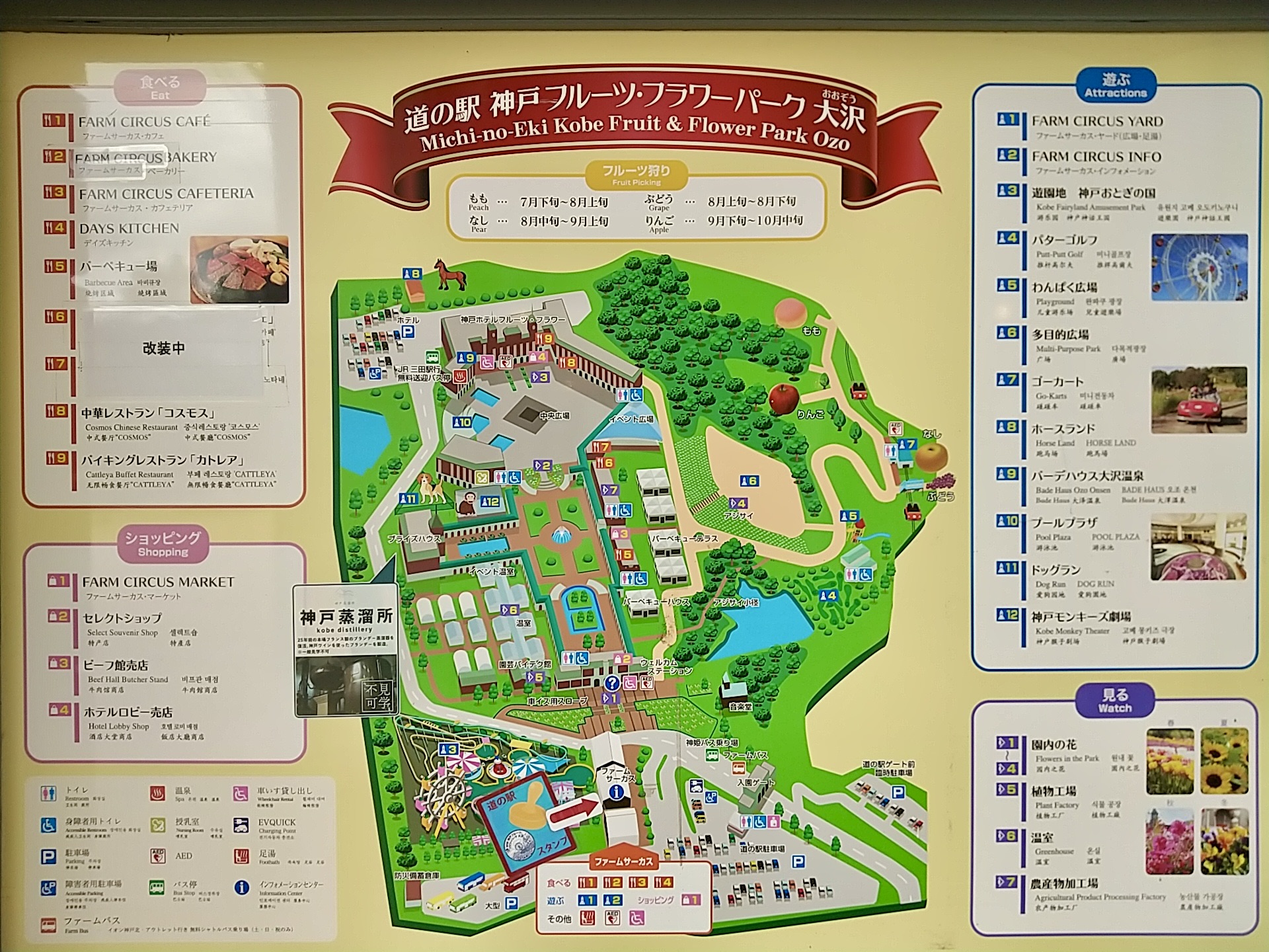 入場無料の裏技と絶景イルミ！神戸フルーツフラワーパーク完全攻略