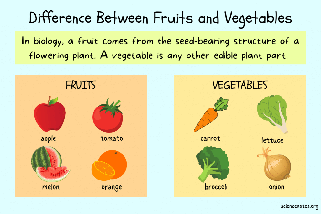 Difference Between Fruits and Vegetables