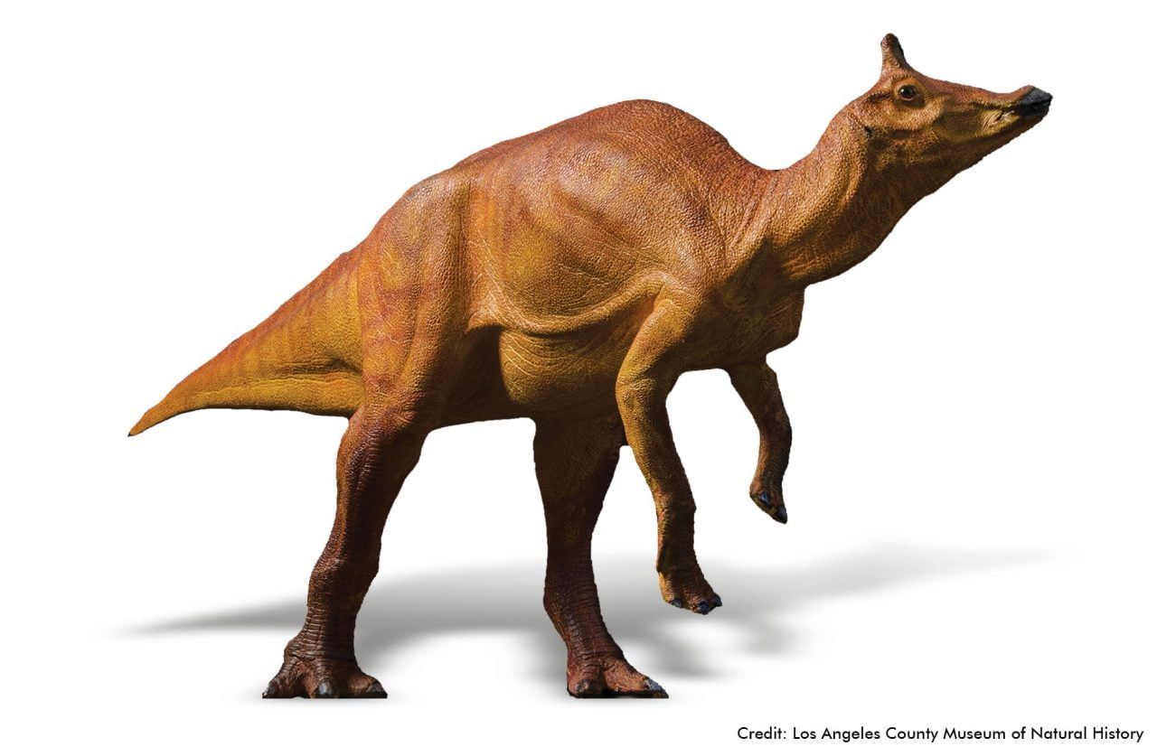 What Dinosaurs Lived in California