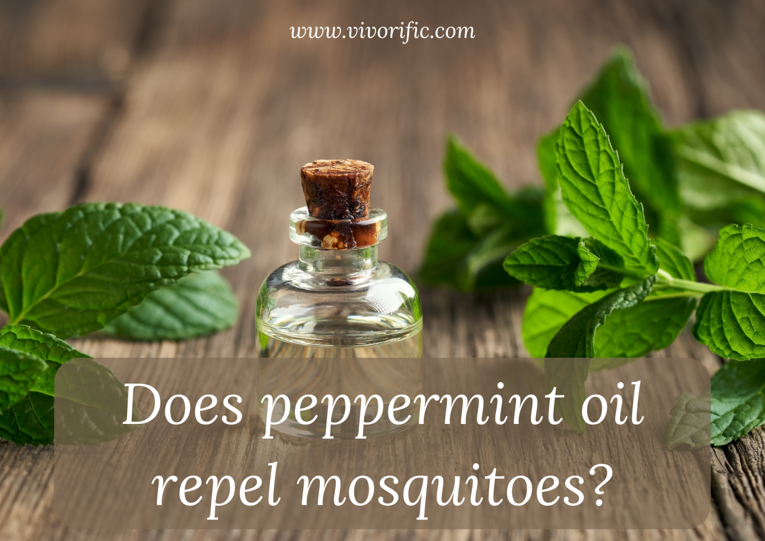 Does Peppermint Repel Insects