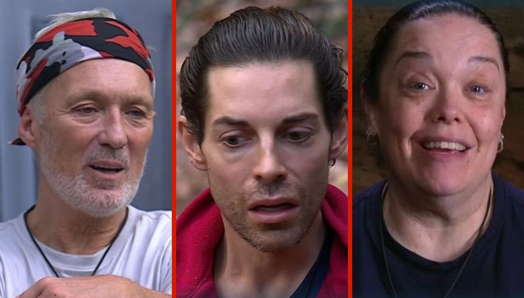 Who Is Vegetarian in I'm a Celebrity