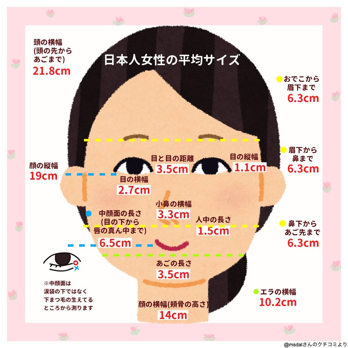 顔の大きさ平均は何Cm？男女別の数値と小顔の基準・測り方を徹底検証