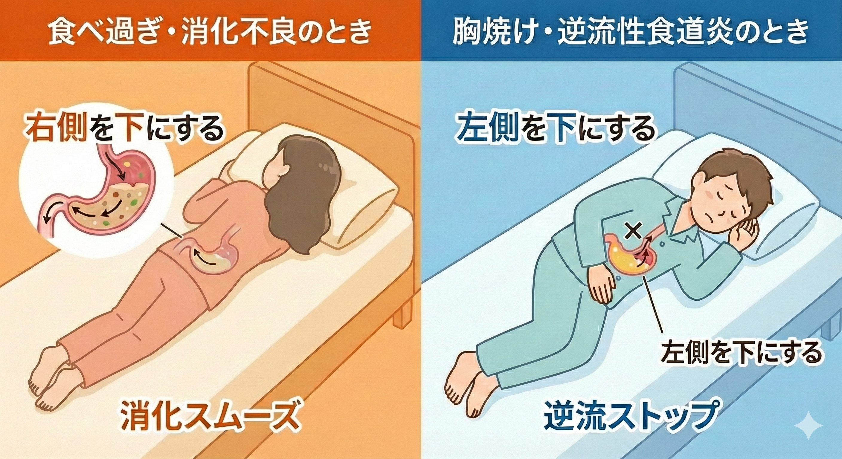 食べたあと寝る向きは右と左どっち？胃の構造から暴く最新正解