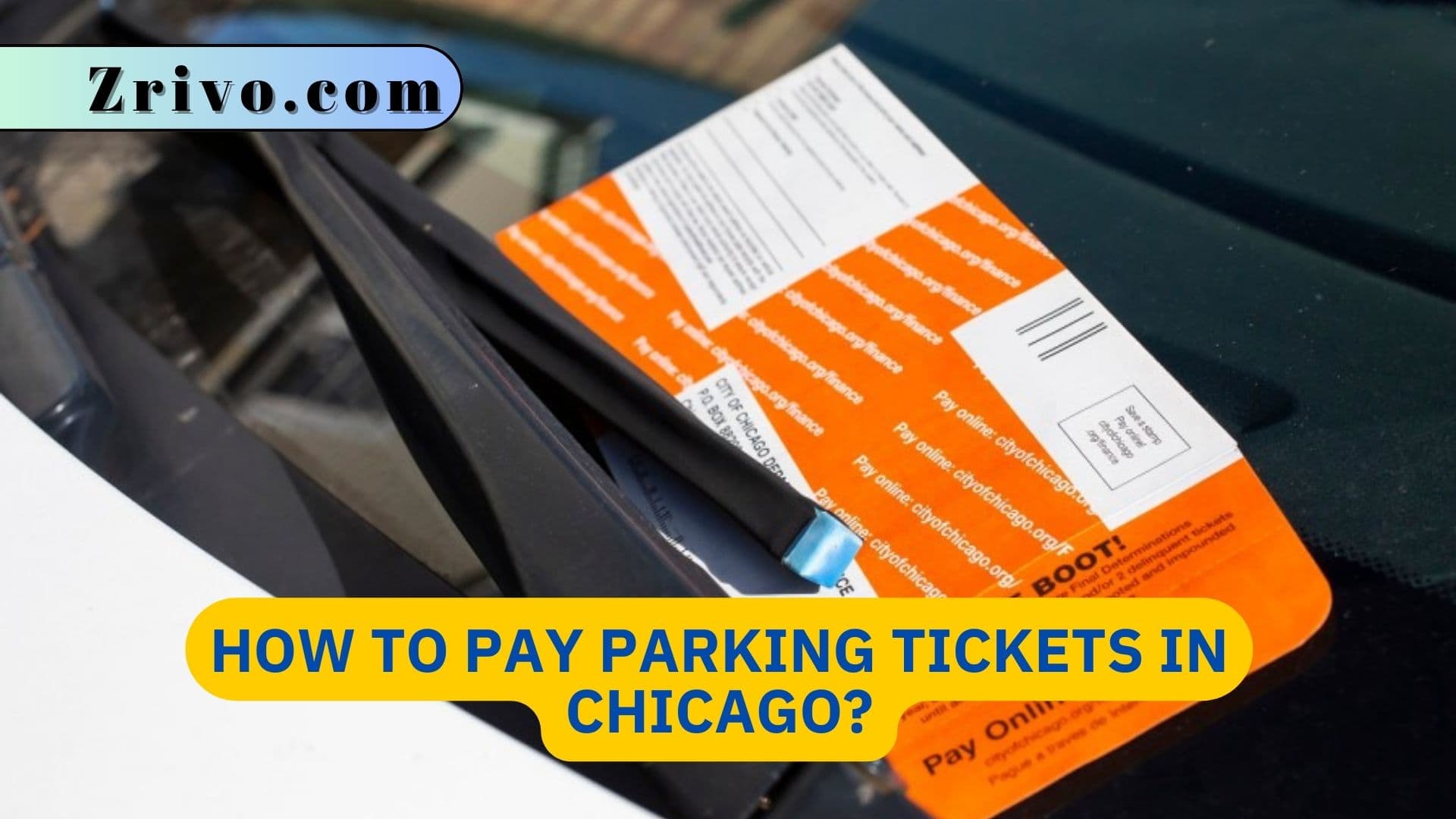 Pay Tickets by Plate Number Chicago Online