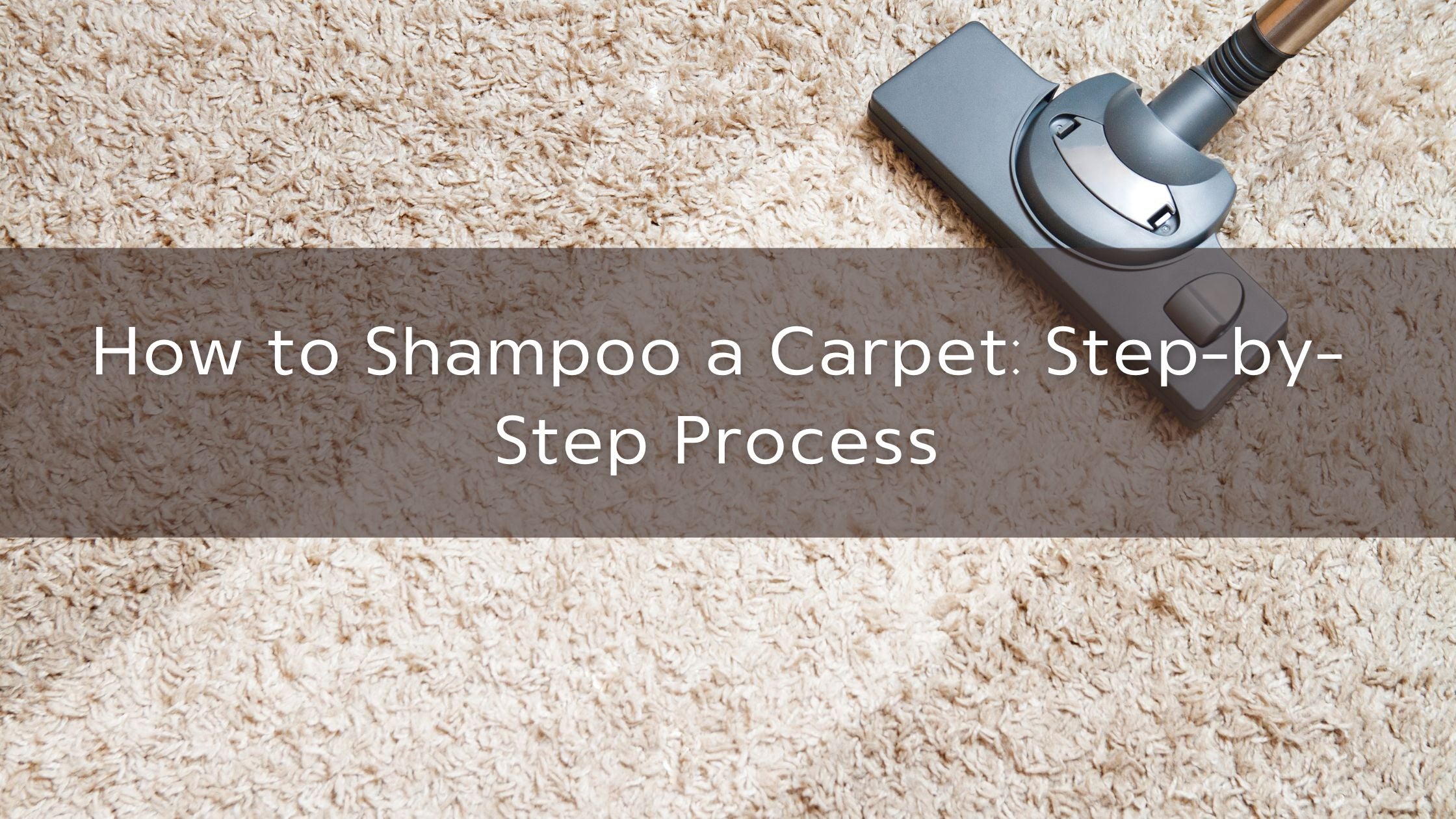 How Do You Shampoo Carpet