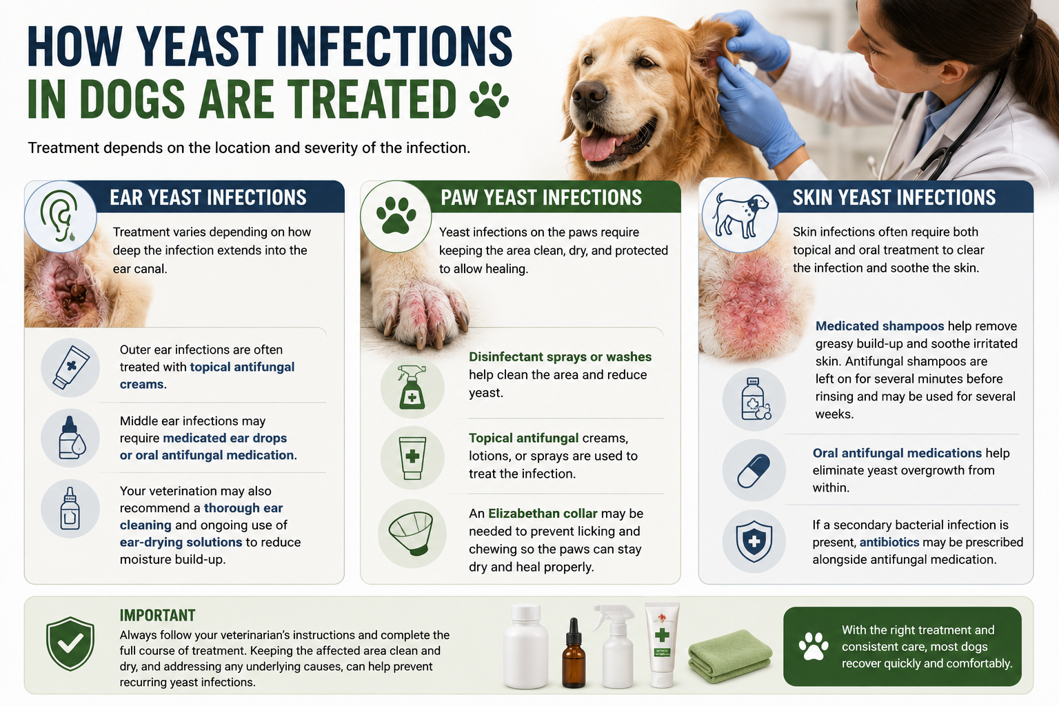 How Do I Treat Yeast Infection in My Dog