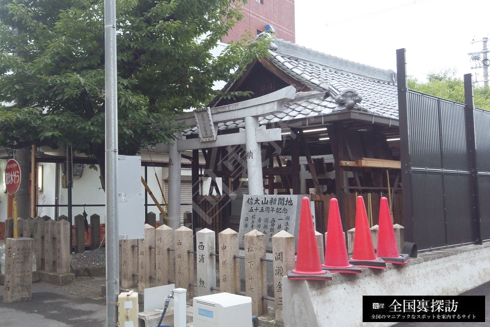 信太山新開地協同組合の現在と実態｜料金や飛田との違いを徹底検証