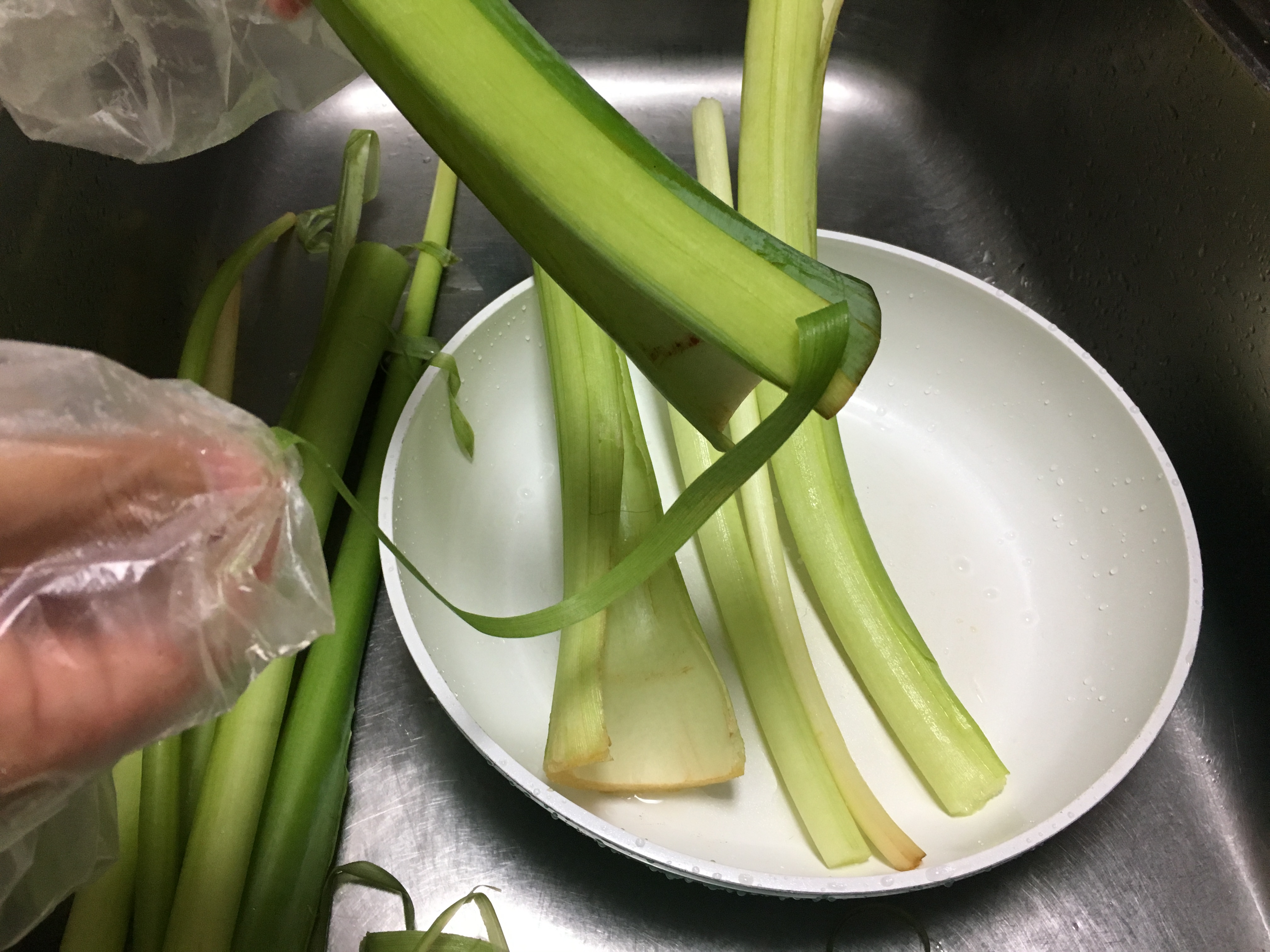 高知の野菜りゅうきゅうの正体とは？大分との違いや下処理を徹底解説