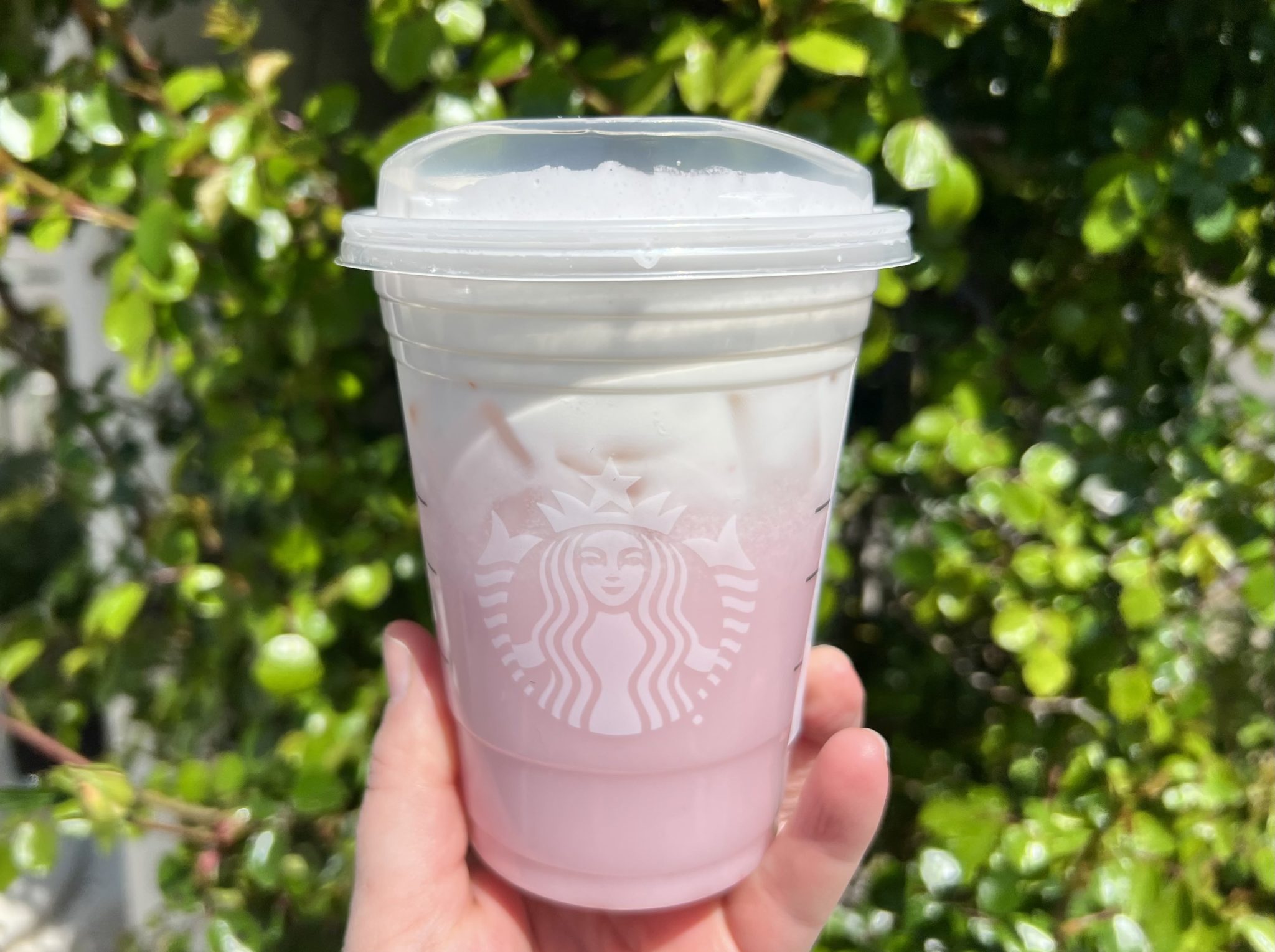 Starbucks Pink Drink Cold Foam
