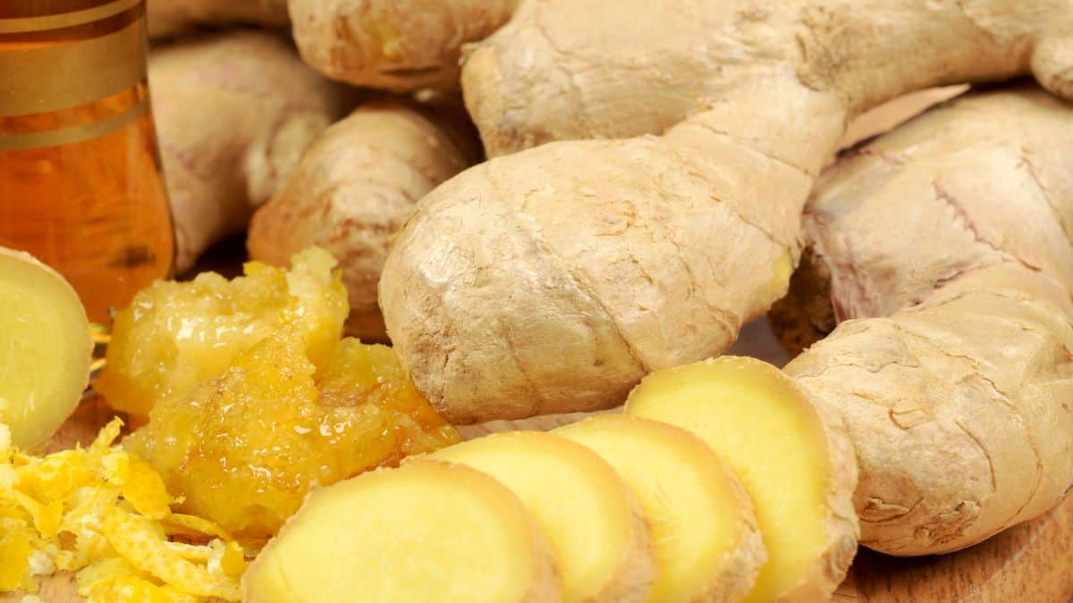 Is Ginger Supposed to Be Spicy