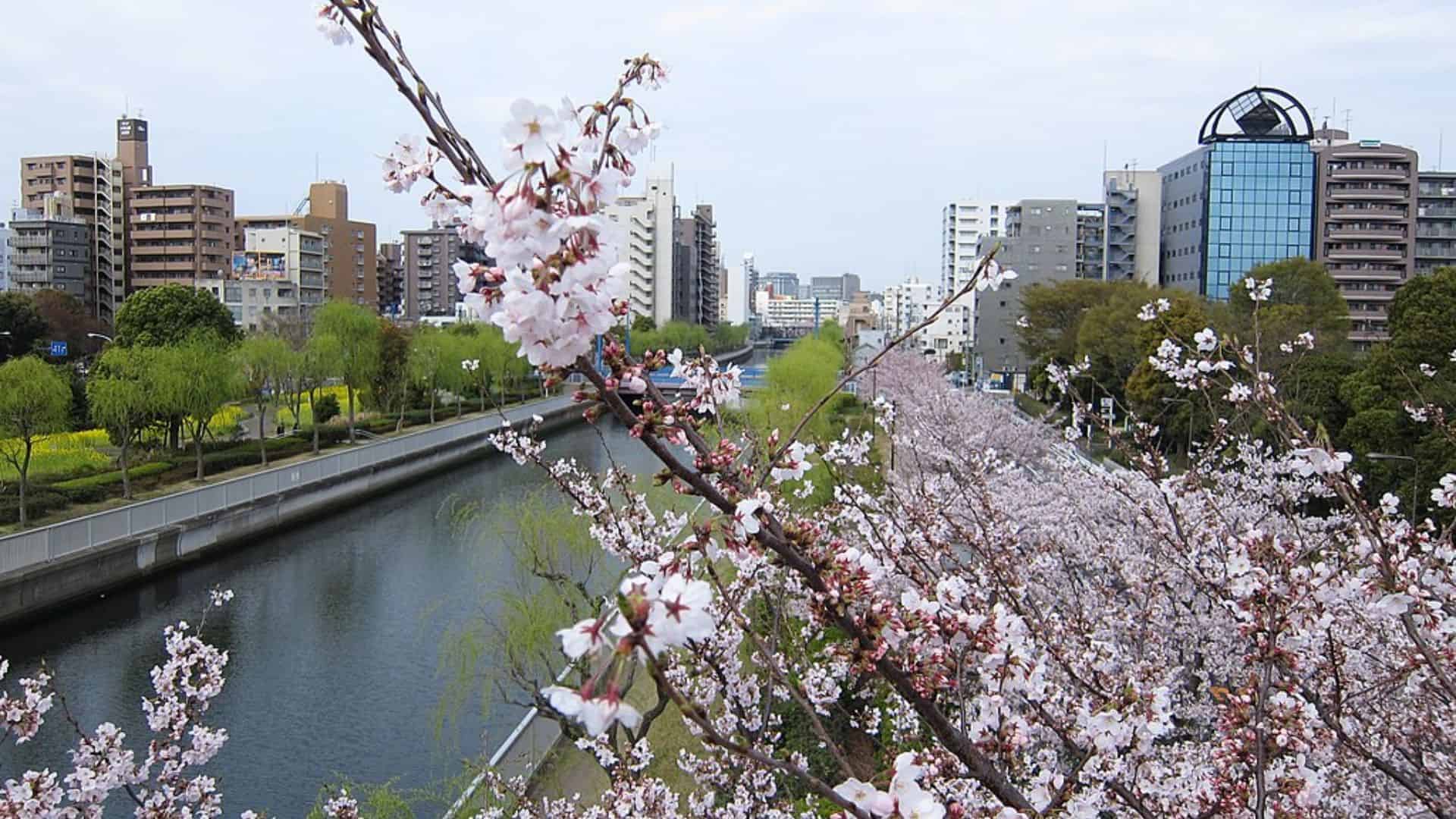2026年、東京の重力が変わる：「Koto City」に見る未来都市のリアルと下町カルチャーの逆転劇