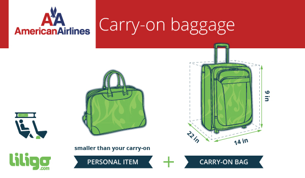 Aa Carry on Luggage Rules