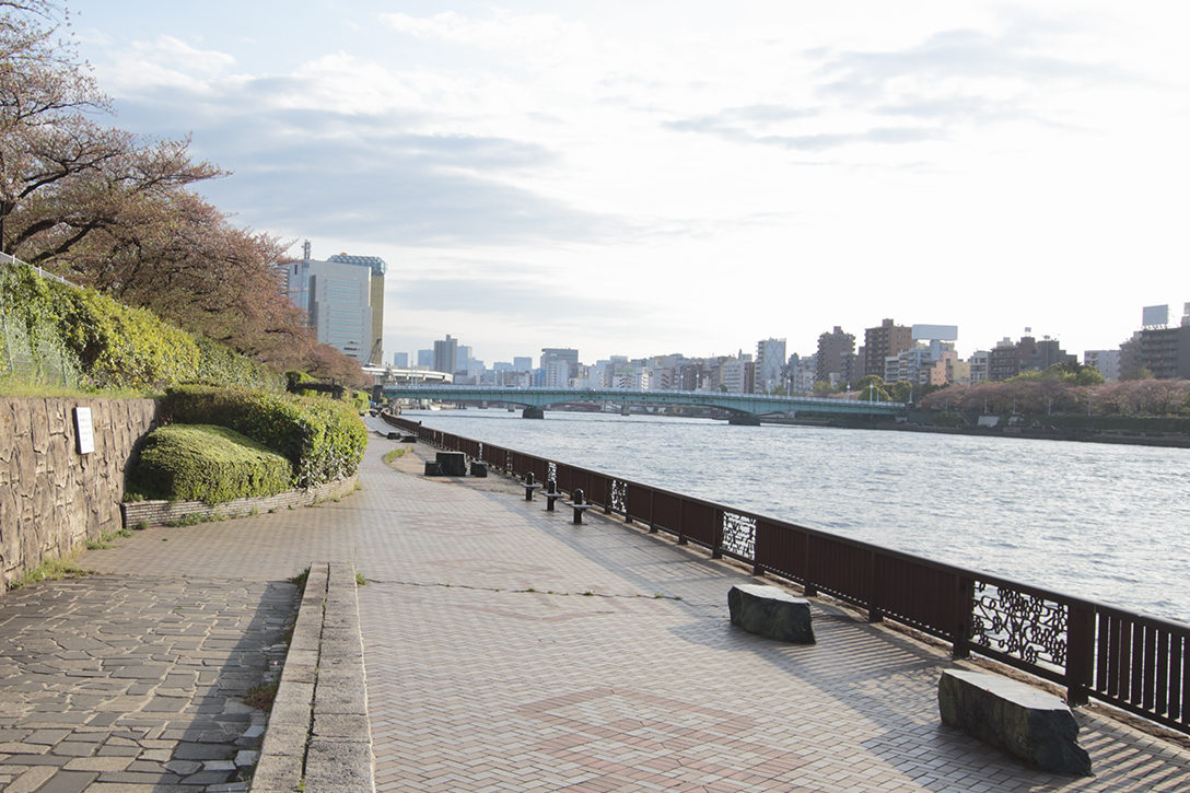 【2026年夏】東京で手持ち花火を楽しめる公園＆河川敷ガイド！最新の規制・解禁エリアとマナー徹底取材