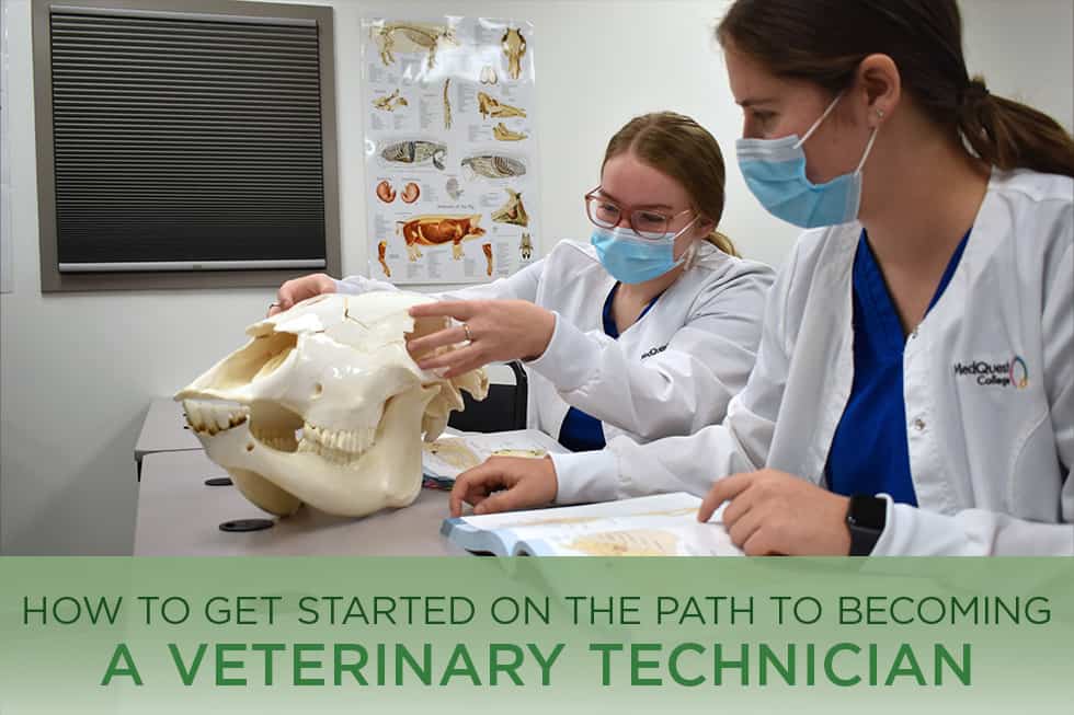 How Long Is Veterinary Technician School