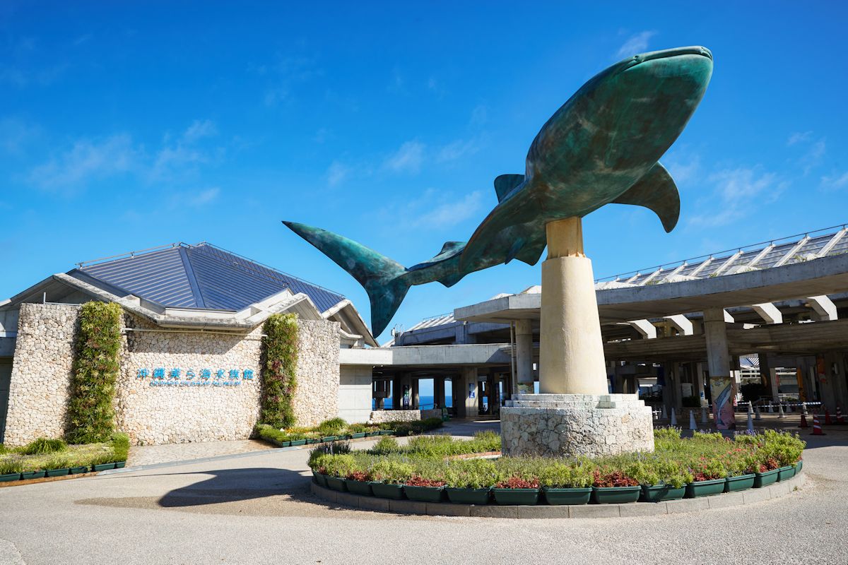 水族館近くの穴場ランチ＆混雑回避ルート！地元民が明かす極秘散策