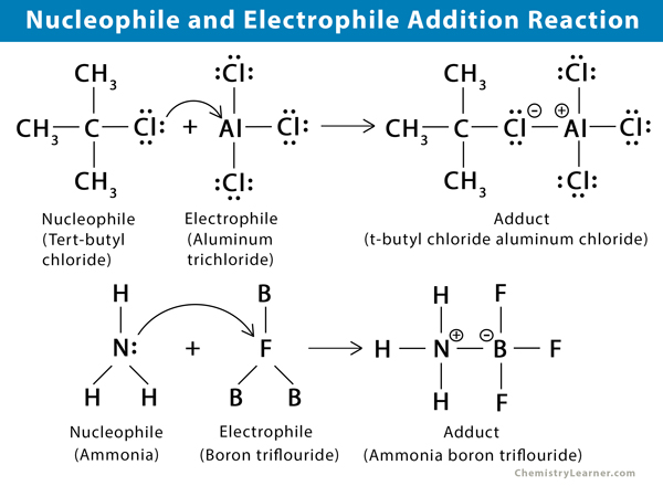 How to Identify Electrophile and Nucleophile