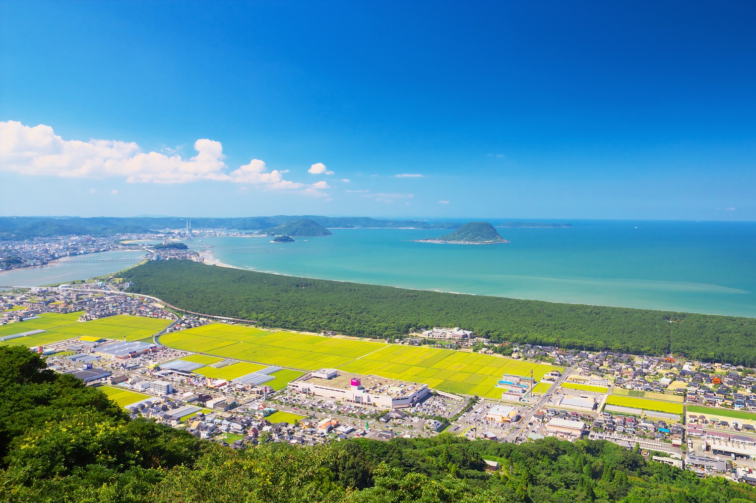 秋風にそよぐピンクの絶景！佐賀のコスモス名所と穴場を徹底取材