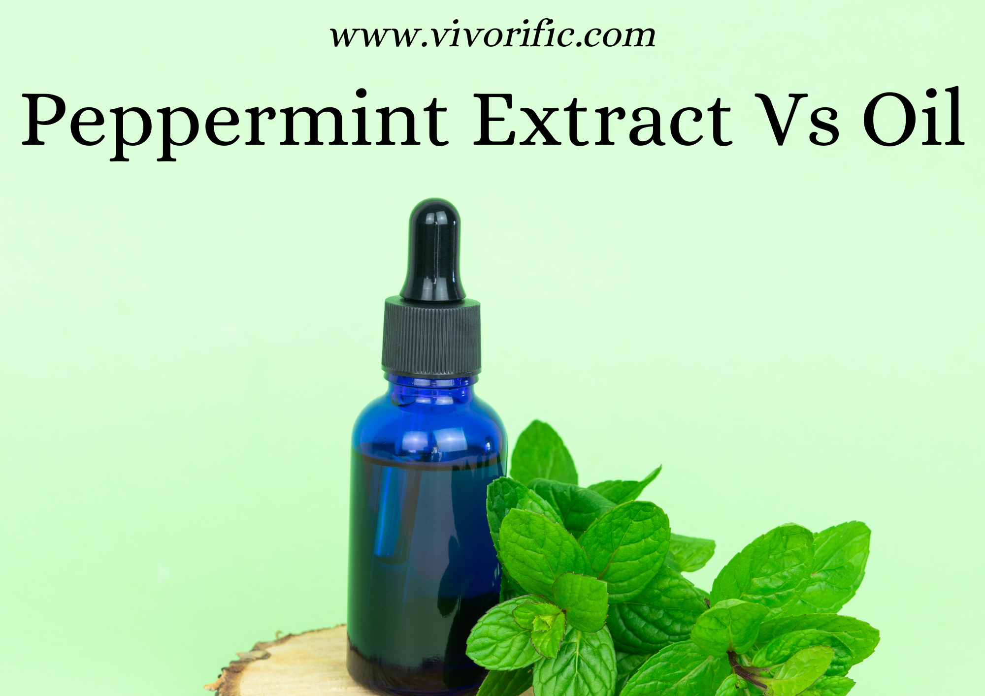 Is Peppermint Oil the Same Thing as Peppermint Extract