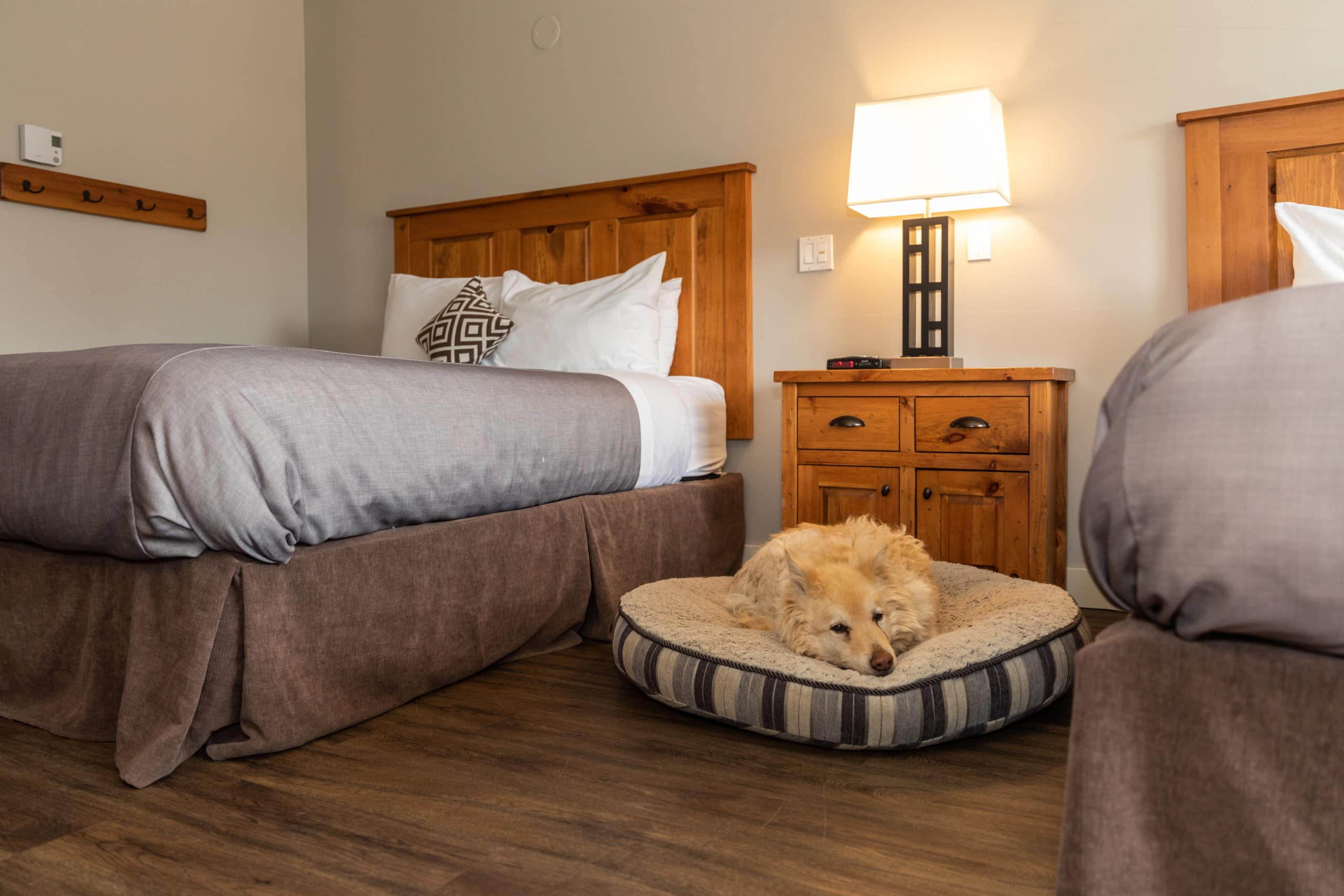 Dog Friendly Hotels in St George