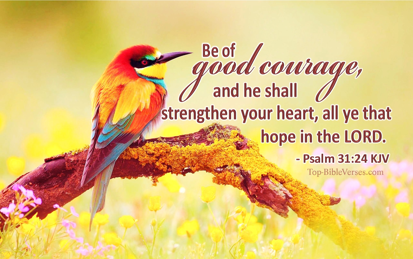 Uplifting Scriptures Kjv