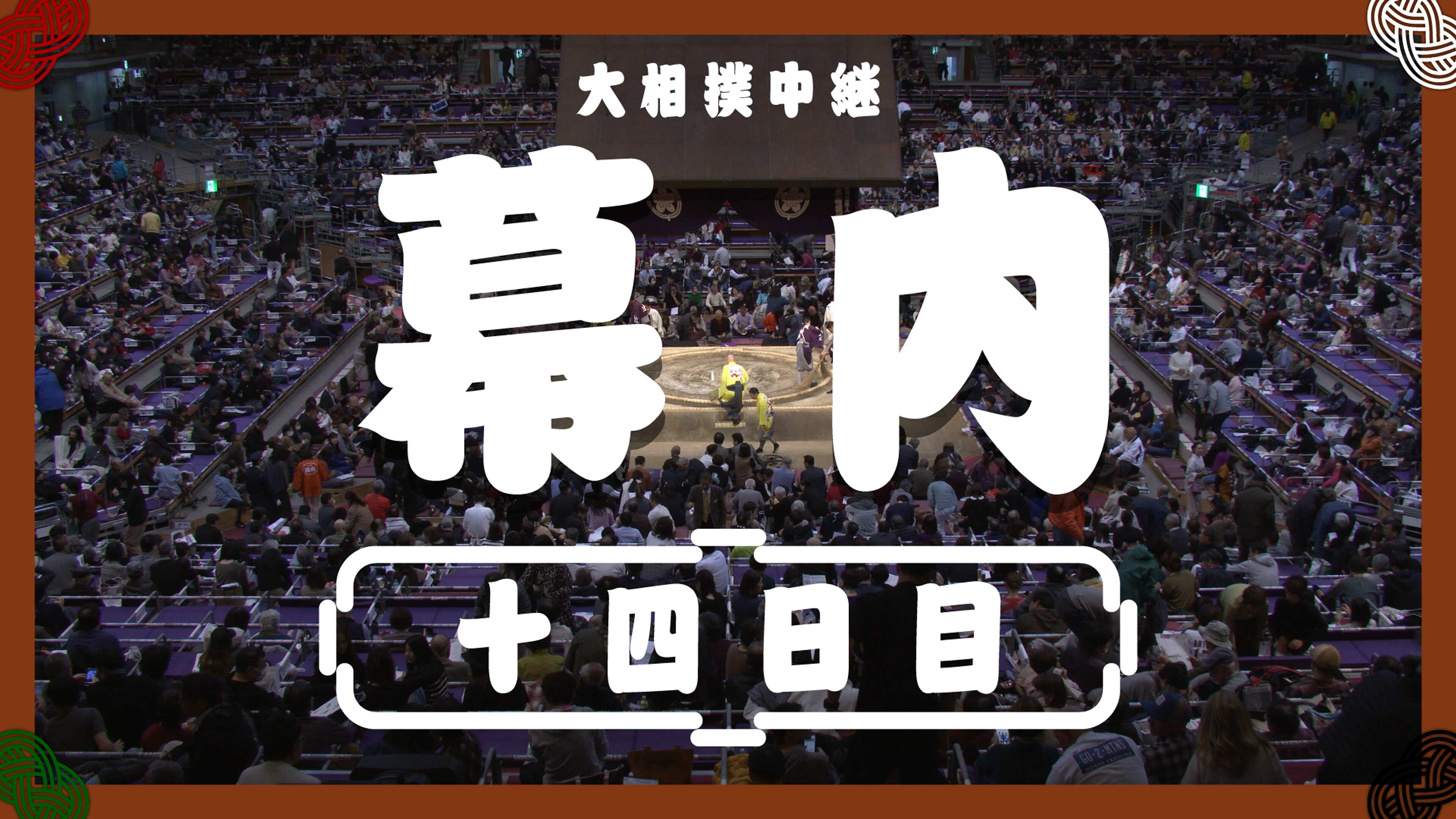 大相撲夏場所2026の動画速報！金星の真相と無料見逃し配信ガイド