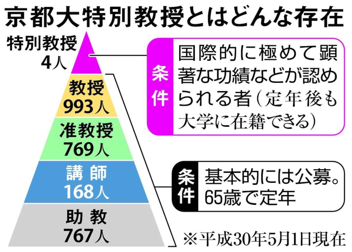 特別教授とは？名誉教授との違いや驚きの年収・就任条件を徹底解剖