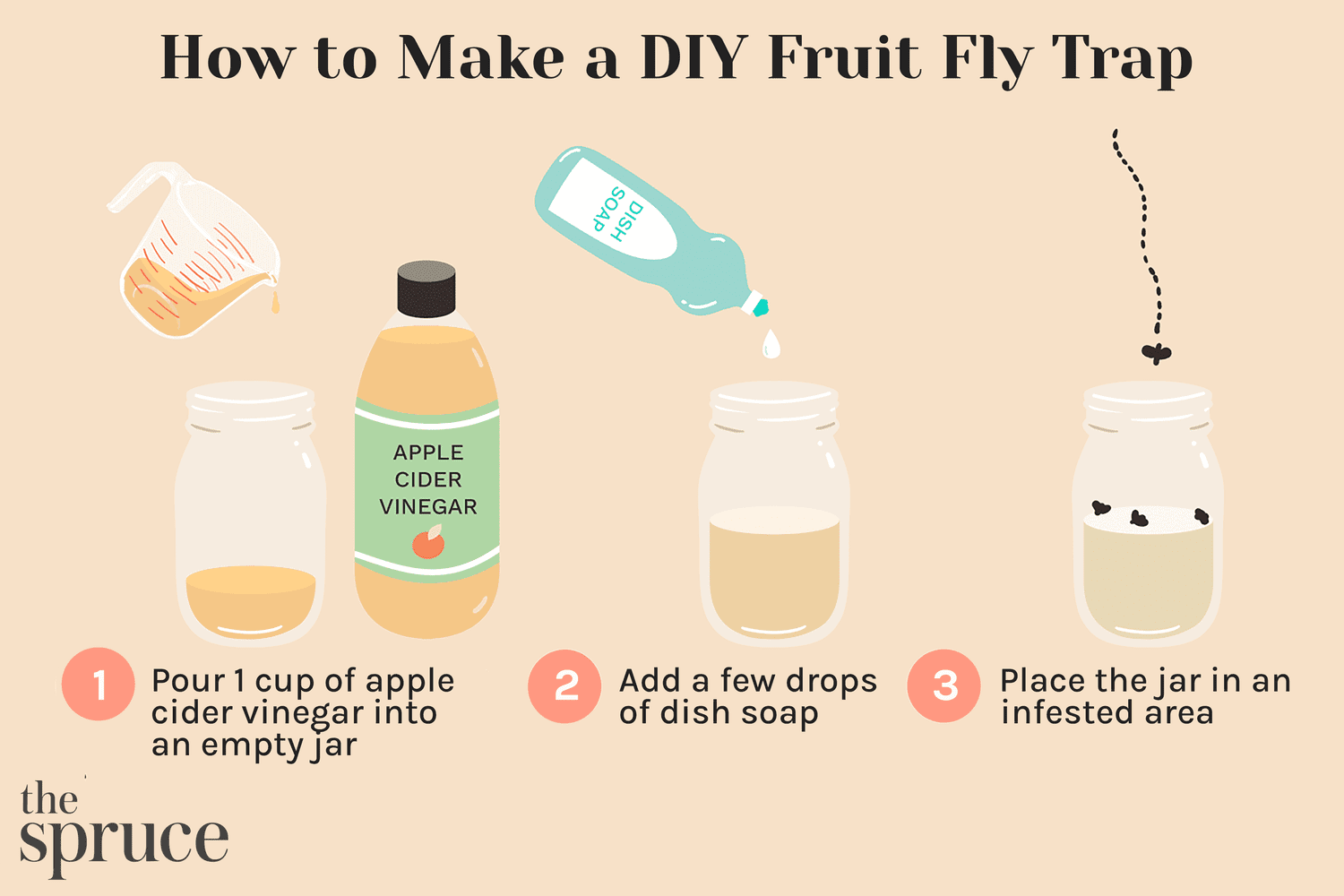 Catch Fruit Flies with Apple Cider Vinegar