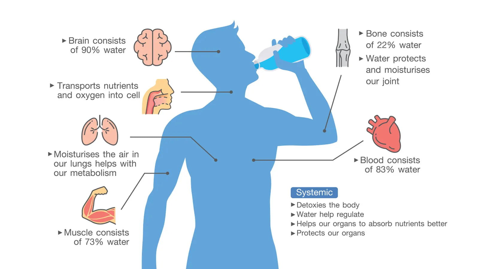 Does Drinking Water Cleanse Your System